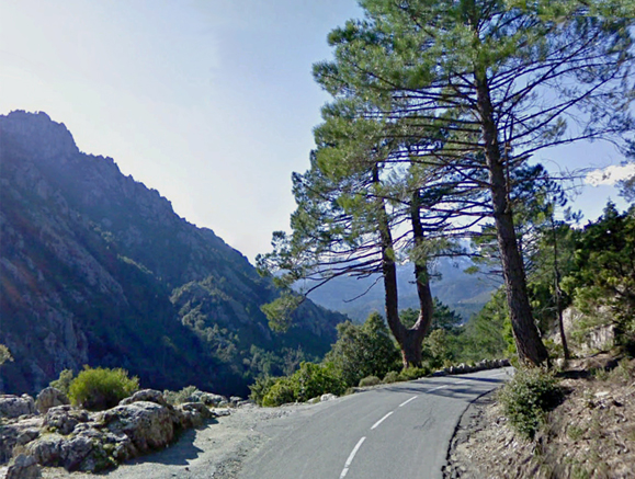 n_21_der u-baum-d344.jpg